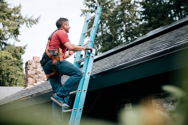 Best Green or Eco-Friendly Roofing Solutions  in Maryland City, MD