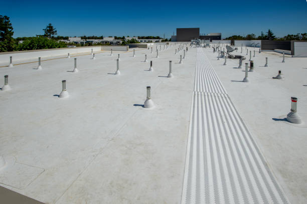 Best Roof Maintenance and Cleaning  in Maryland City, MD